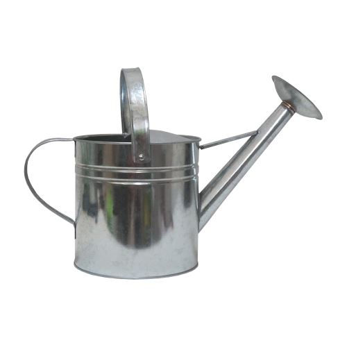 TOPTRADE garden galvanized can, with rosette, 4,5 l
