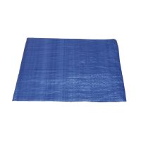 covering tarpaulin, blue, with metal eyelets, 6 x 8 m, standard plus