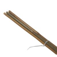 TOPTRADE bamboo pole, O 10 - 12 mm x 105 cm, 5 pcs/set (2)