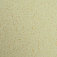 TOPTRADE float ABS, sea sponge, extra, PROFESSIONAL, 250 x 130 x 30 mm (2)