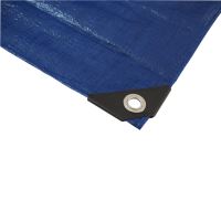 TOPTRADE covering tarpaulin, blue/green, with metal eyelets, 4 x 6 m, profi (1)
