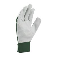 HOBBY gloves, with blister, cotton, velcro, size 8 (1)