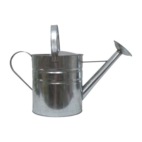 TOPTRADE garden galvanized can, with rosette, 8L