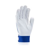 HOBBY gloves, with blister, cotton, velcro, size 12 (1)
