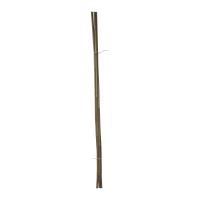 bamboo pole, O 10 - 12 mm x 105 cm, 5 pcs/set