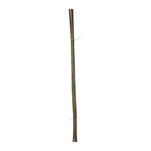 TOPTRADE bamboo pole, O 10 - 12 mm x 105 cm, 5 pcs/set