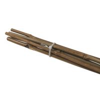 TOPTRADE bamboo pole, O 8 - 10 mm x 60 cm, 5 pcs/set (4)